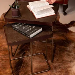 three sixty Croco Leather Nest Of Tables In Brown Finish (Set Of Two)-picture-26