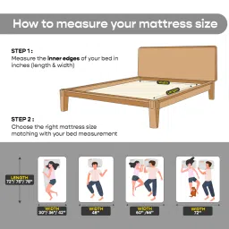 sleepycat Original Ortho Mattress with AirGen Memory Foam Upgrade 6 Inch King Size Mattress With Softtouch Bamboo Zipper Cover image 3