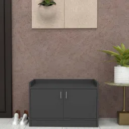 specialitypanels Ella 2 Doors Shoe Cabinet in Slate Grey Finish image 1