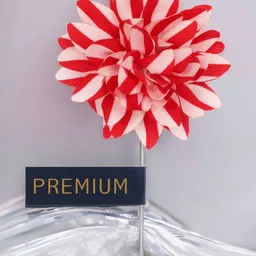 PELUCHE Unisex Red & Off-White Striped Petals Lapel Pin-picture-39