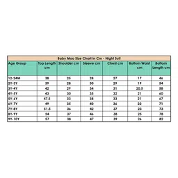 Baby Moo Grey & Blue Pure Cotton Printed Co-Ord Set image 4