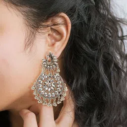 DEGHLAM Oxidised Artificial Stones Studded Peacock Shaped Drop Earrings-picture-11