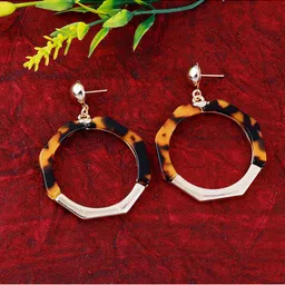 Silver Shine Gold-Toned & Brown Contemporary Drop Earrings-picture-50