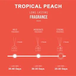 pan aromas Wonder Series Reed Diffuser - 50ml - Tropical Peach image 4