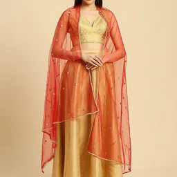 Dupatta Bazaar Embroidered Sequinned Net Dupatta-image-68