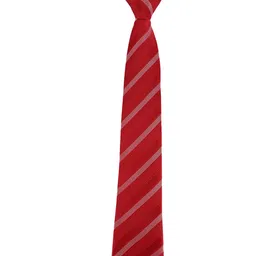 Alvaro Castagnino Men Red & White Striped Broad Tie image 4