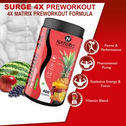 Naturyz Surge 4X Pre-Workout, 0.88 lb Mix Fruit Fusion image 2