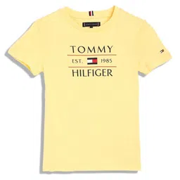 Tommy Hilfiger Boys Typography Printed Round Neck Cotton T-shirt-picture-42
