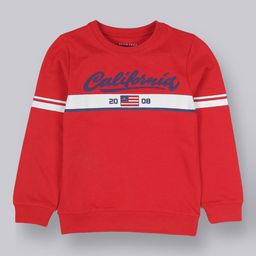 PLUM TREE Boys Red Printed Sweatshirt-picture-24