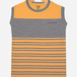 Dollar Champion Kidswear Boys Striped T-shirt-picture-50