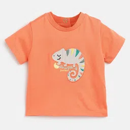 Chicco Infant Boys Animal Applique Detail Cotton T-Shirt-picture-23