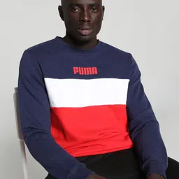 Puma Colourblocked Crew Sweatshirt-picture-27