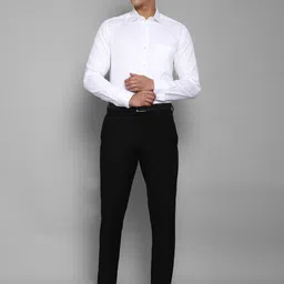 Louis Philippe Men Pure Cotton Formal Shirt image 3