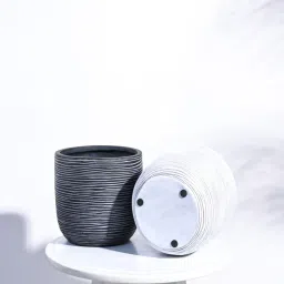 ugaoo Black Plastic Ball Rib Medium Desk Pot image 4