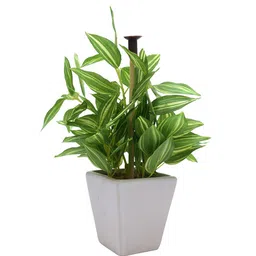 fourwalls Plastic Green Mini Wandering In White Ceramic Pot Artificial Plants image 2