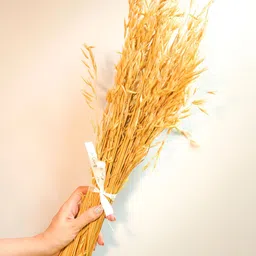 Artecasa White Naturally Dried Oats Grass image 5