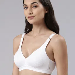 Dollar Missy Pack of 2 Seamless Basic Support Bra image 3