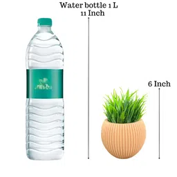 Akaar Orange 2 Pieces Fern Artificial Plant With Pot image 5