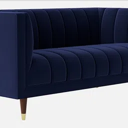 casacraft from pepperfry Lem Velvet 2 Seater Sofa in Navy Blue Colour image 3