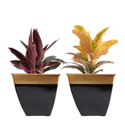ecofynd Midland (Set of 2) Black Metal Floor Planter image 4