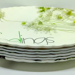 dreamz FEELING FULL PLATE Dinner Food Grade Reusable Dishwasher Safe (11"Inch) Dinner Plate image 2