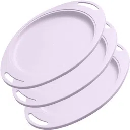 oicia Tea Platter, Cafeteria Trays, Vegetable Tray, Dry Fruit Tray, Serving Platters Tray-picture-38