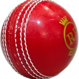 royal prince incredible Red Cricket Training Ball-picture-14