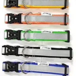 nayanar Dog & Cat Everyday Collar-picture-22
