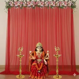 party box by harish chadha Red Backdrop Net Decoration ( PACKED BY MOM BUILDING DREAMS)-picture-35