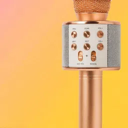 stybits X368 Wireless Handheld Karaoke Microphone with Powerful Sound Microphone-picture-27