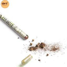 goodwill tech Eco-Friendly Recycled Newspaper Pencils With Seeds Pack of 20 Pieces Pencil image 3