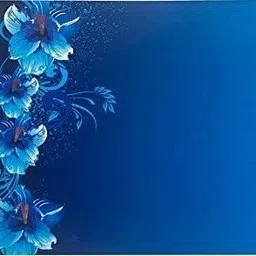 sanraksshan Fridge Mat image 5