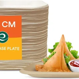 vishwa traders Pack of 25 Earthenware square-snack-chukplate Dinner Set-picture-44