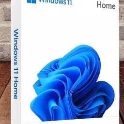 MICROSOFT Windows 11 Home_10 1 User / 1 PC Lifetime Validity Retail License 32 /64 Bit (Flash Drive)-picture-41