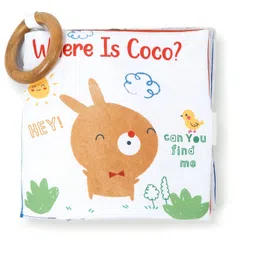 tidy sleep Where is Coco-picture-31