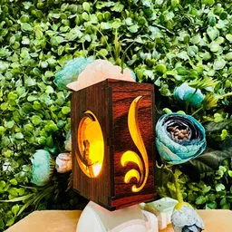 zenn aura Fairy On Moon Himalayan Rock Salt Plugin Lamp | Dreams & Magic Table Lamp-picture-30