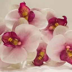 casacraft from pepperfry Pink Fabric Light Orchid Artificial Flowers image 5