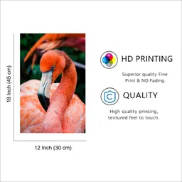 unique gifty Elegant Flamingo – Grace in Pink Poster Photographic Paper image 4