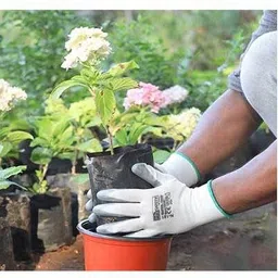 crewbolt Hand Safety Anti Slip Latex Coated Nylon Anti Cut Resistant Grey Gloves Gardening Shoulder Glove image 3