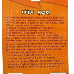 anandam 11 Mukhi Rudraksha with Silver Capping | Lab Tested & X-ray Certified Wood Pendant image 2