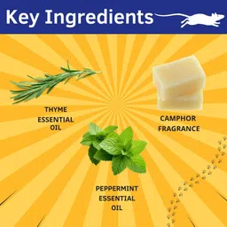 prefetto cosmo Rat Buster: Your Home's Protection from Rats image 2