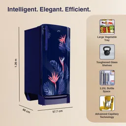 godrej 183 L Direct Cool Single Door 3 Star Refrigeratorwith Jumbo Vegetable Tray and Toughened Glass Shelves image 4