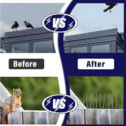 tripi Bird Spike image 4