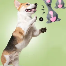 psk pet mart Combo Pack Latex Squeaky Dog Toy Soft Rubber Chew Interactive Rubber Chew Toy For Dog & Cat image 2