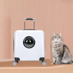 pet guard Travel Bag, Pet Trolley Case Out Portable MULTICOLOR Airline Pet Carrier-picture-14
