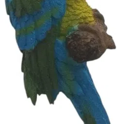 lumacraft Wall Parrot, Home, Office, Restaurant and Garden Decoration Garden Gnome image 5