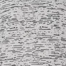 shaun Women Self Design Round Neck Cotton Blend Grey T-Shirt image 5