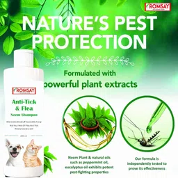 romsay Anti-Tick & Flea Neem Shampoo For Dogs & Cat With Pet Brush Anti-dandruff, Anti-fungal, Anti-itching, Allergy Relief, Flea and Tick, Anti-microbial Neem Dog Shampoo image 4