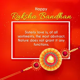 ridansh Religious Ridhansh-pack of 1-4228 Assorted Rakhi Set image 4