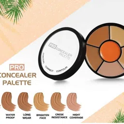 a perfect edge Matte 3 In 1 Makeup Palette Warms Concealer For Dark Circles, Blush And Concealer image 5